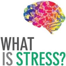 what is stress