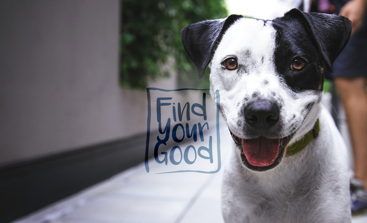 FYG_dog-best-friend-2